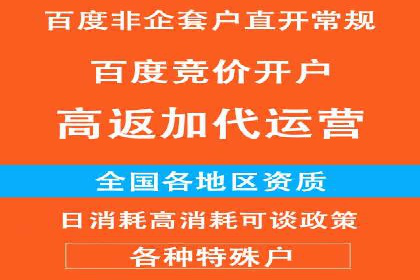 竞价推广实战技巧：成功案例分享会